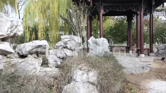 花园里的中国乔木视频的预览图