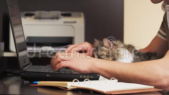 特写镜头他在家里的笔记本电脑上工作远程工作在键盘上打字抚摸着猫视频的预览图