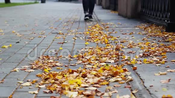 女人穿着牛仔裤腿走在人行道上带着黄色的秋叶视频的预览图