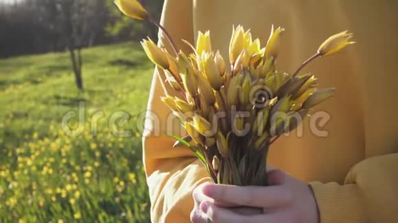 抱着一束黄色郁金香的女孩视频的预览图