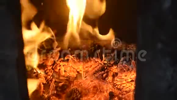 松果是如何在炉子里燃烧的视频的预览图