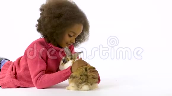 小非洲卷发女孩正在白色背景下拥抱三只彩色兔子慢动作视频的预览图