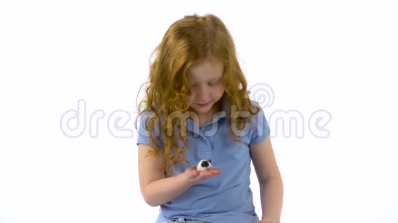 红头发的小女孩卷曲的头发正在抚摸装饰老鼠在白色的背景慢动作视频的预览图