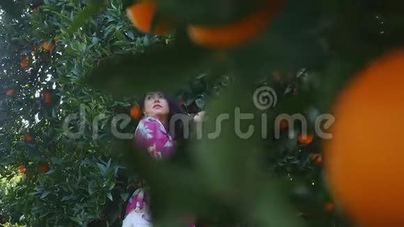 站在橙色花园里触摸水果的年轻女子视频的预览图