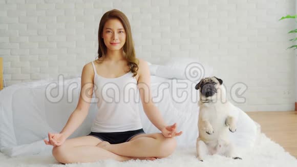 美丽的亚洲女性在家的卧室里练习瑜伽莲花姿势和狗巴格犬享受和放松瑜伽视频的预览图