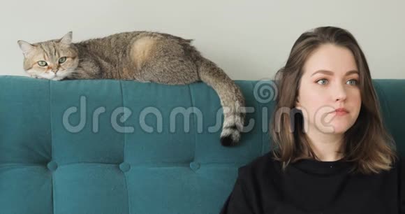 女人吃爆米花坐在沙发上和猫一起看电视的肖像视频的预览图