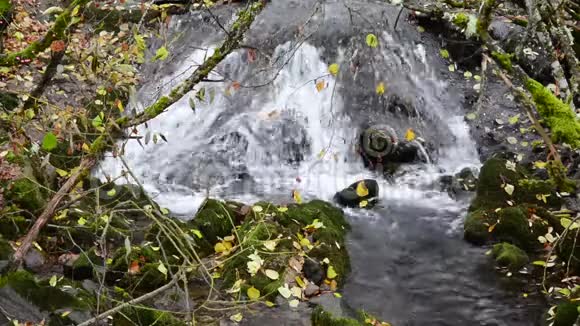 有小瀑布的河流视频的预览图