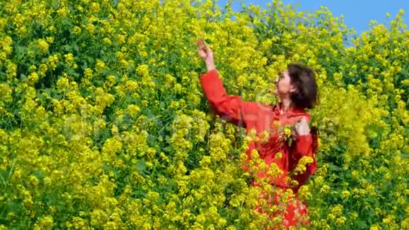 春天田野里的一个年轻女子闻着花很高兴视频的预览图