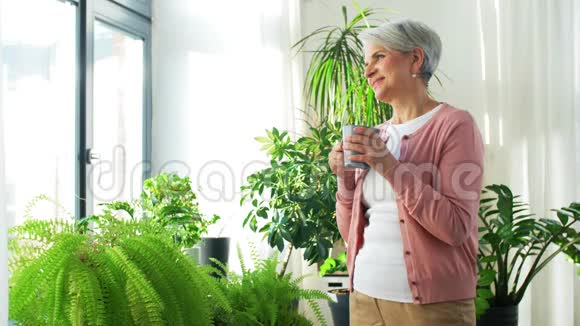 在家喝杯茶的快乐高级女人视频的预览图