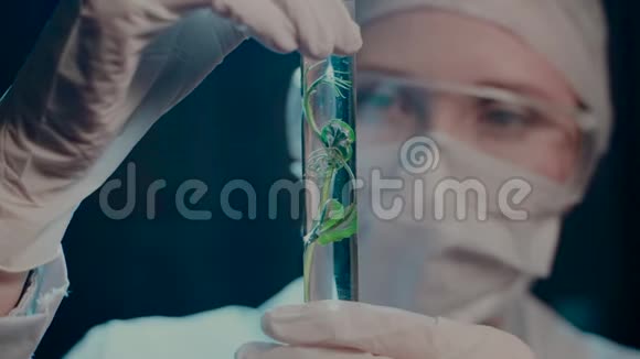 一位带试管的女科学家在实验室里分析了芽的生长结果视频的预览图