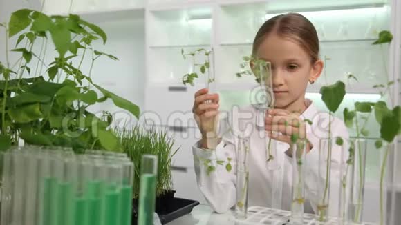 化学实验室的孩子科学生长幼苗的学校孩子学习生物课的学生女孩视频的预览图