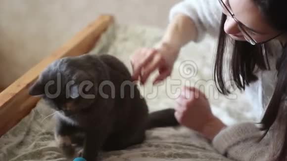 一个年轻的女孩在和她的猫玩一只漂亮的灰猫正在玩他心爱的球视频的预览图