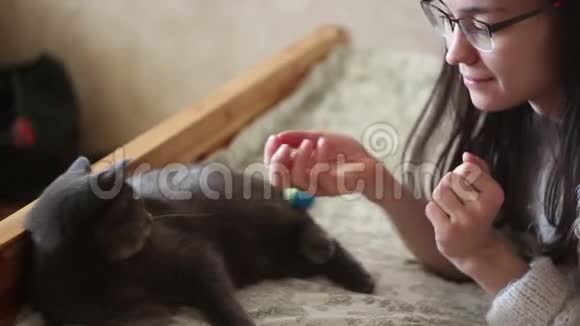 一个年轻的女孩正在抚摸躺在床上的一只灰色的猫一个年轻漂亮的女孩抚摸她心爱的猫视频的预览图