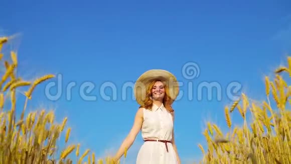 夏天天气晴朗红发女孩在麦田里散步视频的预览图