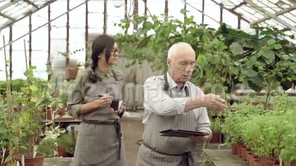 一位年长的男园丁向年轻女子展示温室里的植物她在笔记本上做笔记园艺和农业概念视频的预览图