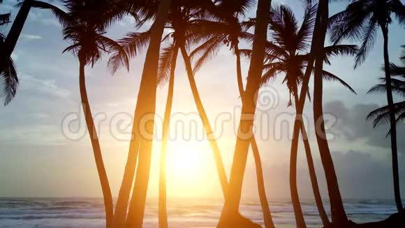 一男一女清晨在棕榈树的背景下沿着岸边奔跑视频的预览图