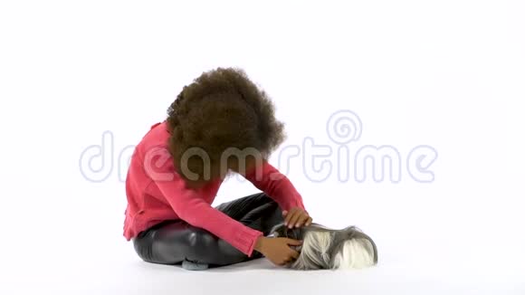 快乐的小非洲卷发女孩在白色背景下抚摸蓬松的雪蒂豚鼠慢动作视频的预览图