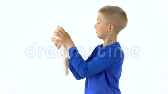 快乐男孩抱着阿尔比诺斯雪貂红眼睛在白色背景慢动作视频的预览图