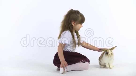 可爱的孩子与蓬松的三色兔子在白色背景快乐的童年概念慢动作视频的预览图
