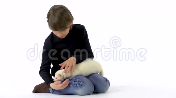 布鲁尼特男孩抱着和抚摸阿尔比诺斯雪貂红色的眼睛在白色背景慢动作视频的预览图