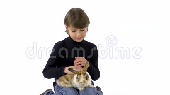 布鲁尼特男孩抱着三只彩色兔子在白色背景下抚摸慢动作视频的预览图