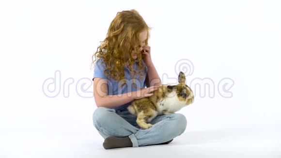 红头发的小女孩卷曲的头发正在抚摸蓬松的三色兔子在白色的背景慢动作视频的预览图