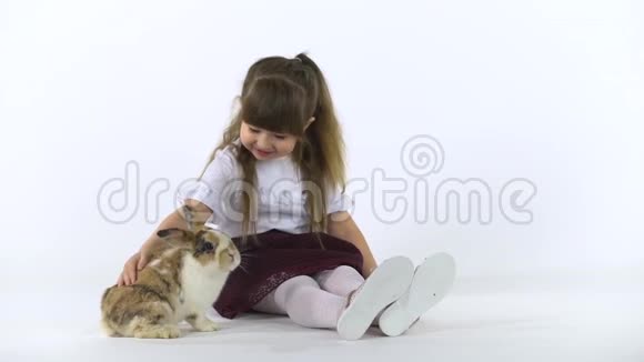 可爱的孩子与蓬松的三色兔子在白色背景快乐的童年概念慢动作视频的预览图