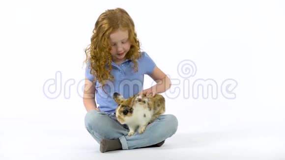 红头发的小女孩卷曲的头发正在抚摸蓬松的三色兔子在白色的背景慢动作视频的预览图