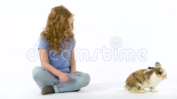 红头发的小女孩卷着头发在白色的背景下玩毛茸茸的三色兔子慢动作视频的预览图