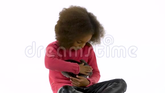 小非洲卷曲的女孩抱着灰色的下巴抚摸着白色的背景慢动作视频的预览图