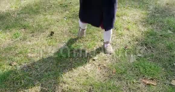 快乐的小女孩在针叶林中的树林中绿草如茵地散步与社会隔绝的健康儿童娱乐活动视频的预览图