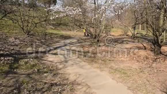 在一个阳光明媚的春天下午一对戴着防护口罩的男女夫妇在公园的一条小路上走过视频的预览图