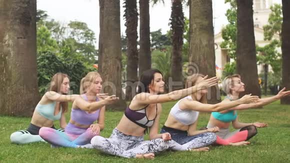 瑜伽健身团体的妇女在户外冥想大热带棕榈视频的预览图