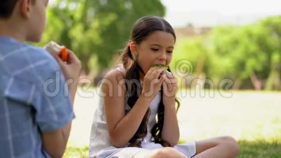 孩子们在户外吃新鲜三明治视频的预览图