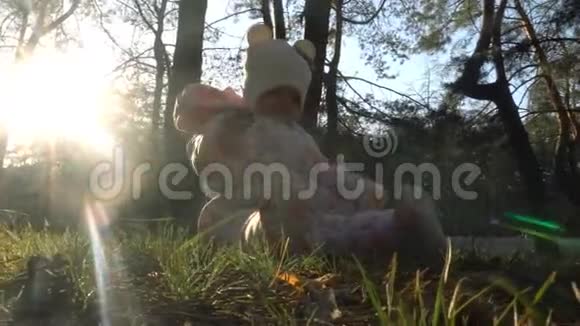 活泼开朗的小女孩在树林里玩锥视频的预览图