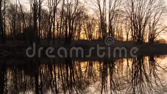 春天太阳从湖面升起视频的预览图