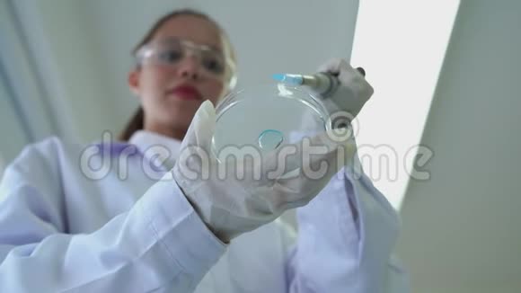 女性医学研究科学家在培养皿中加入吸管将有色液体滴入培养皿中进行科学实验视频的预览图