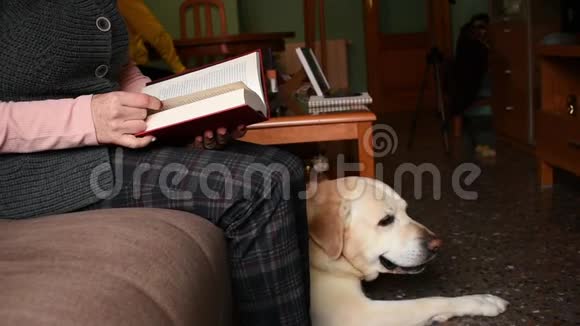 当她的狗在地板上时中年妇女在客厅里看书视频的预览图