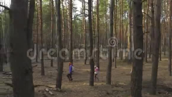 母亲带着两个女儿在森林边散步视频的预览图