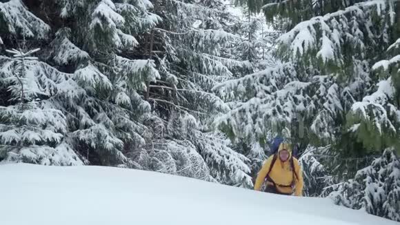 冬天带背包的人到树林里去视频的预览图
