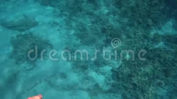 邋遢的红海里女人的腿在水下欢快地移动视频的预览图