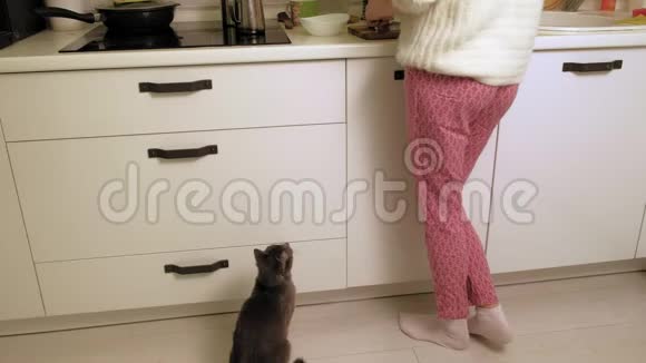 一个女人在厨房里喂猫视频的预览图
