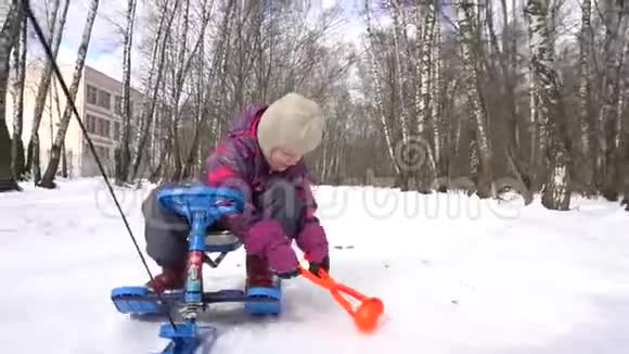 女孩在冬天穿过树林来到天王星收集雪球视频的预览图