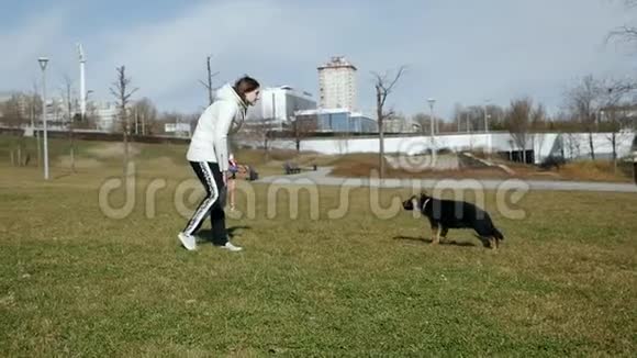 女孩正在训练她的狗的本性狗跑玩棍子快乐的年轻女人玩她的德国牧羊犬视频的预览图