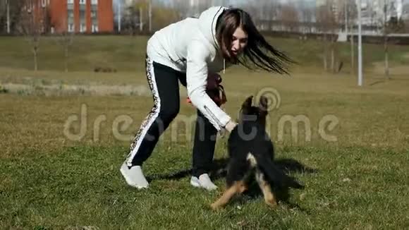 女孩和一只德国牧羊犬在绿色的田野上打球宠物慢动作视频的预览图