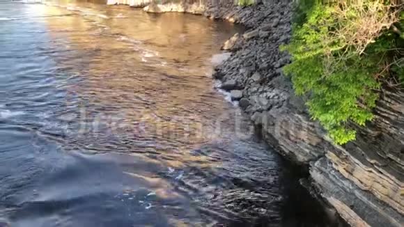 沃尔特在渥太华河里流淌视频的预览图