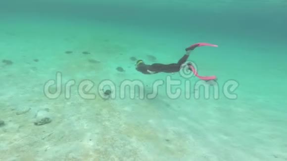 厄瓜多尔加拉帕戈斯国家公园圣地亚哥岛岸附近的女子浮潜视频的预览图