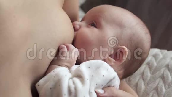 哺乳婴儿的概念母亲喂养新生儿宝宝吃牛奶视频的预览图