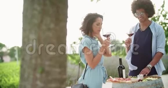 浪漫的年轻女人和男人品尝葡萄酒在意大利葡萄园酒庄进行令人兴奋的私人品尝品酒视频的预览图