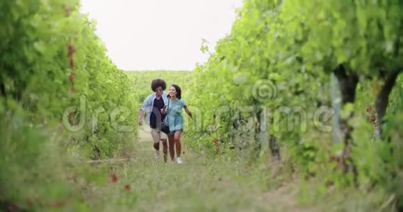 两个人在绿色的葡萄园里漫步嬉戏前面跟着宽射朋友意大利旅行在翁布里亚4k视频的预览图